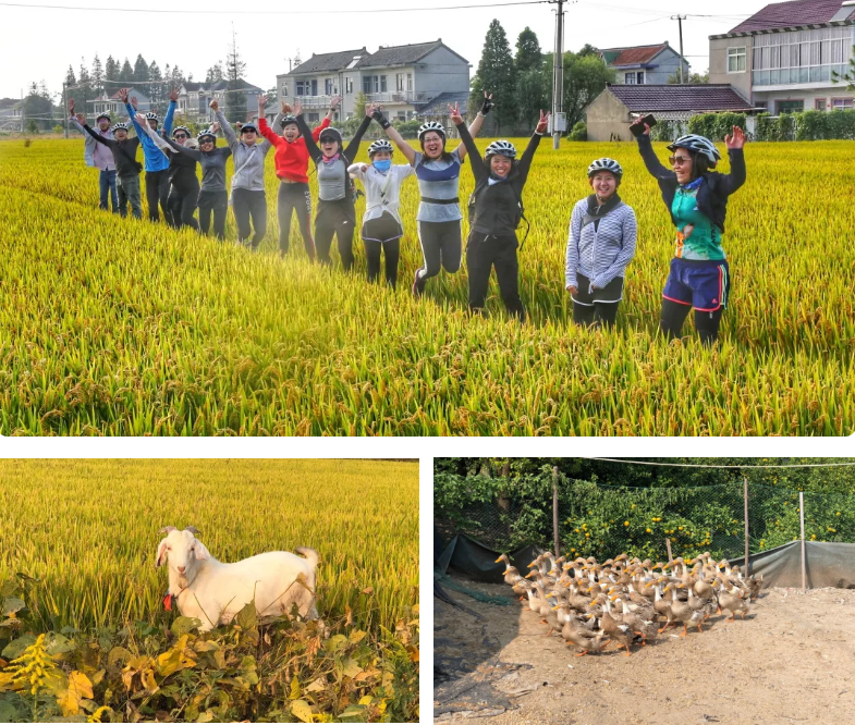 1575274137591816png imagepng