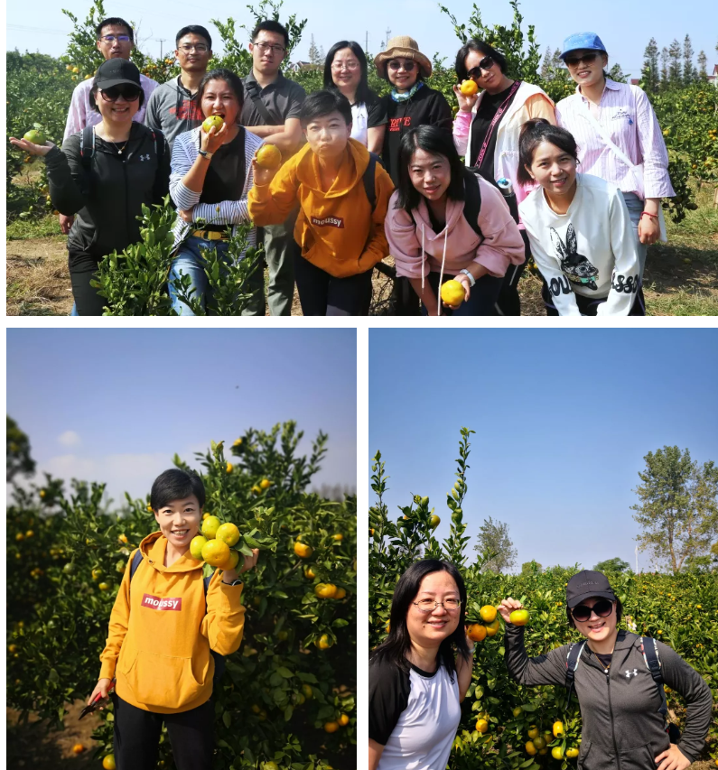 1575274163891360png imagepng