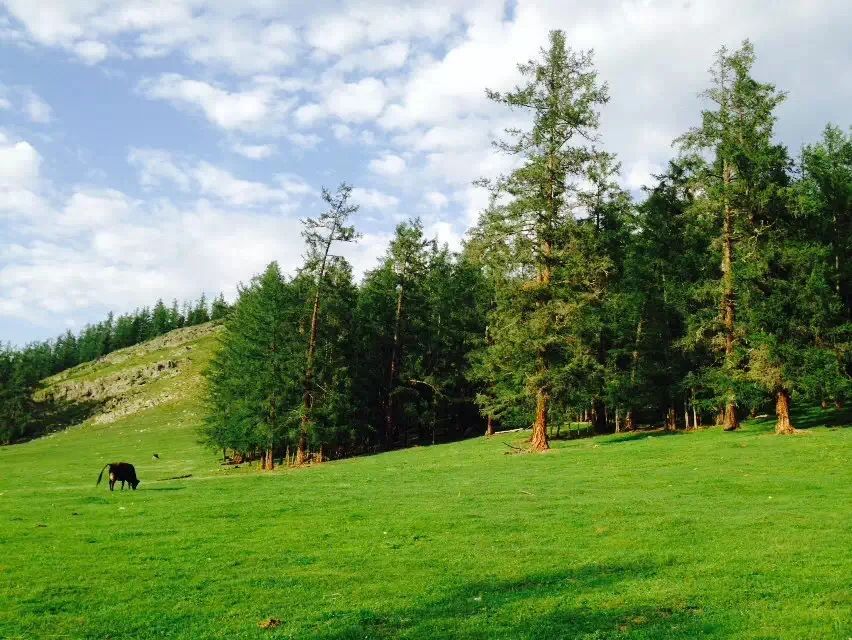 WeChat の写真_20210709134022jpg