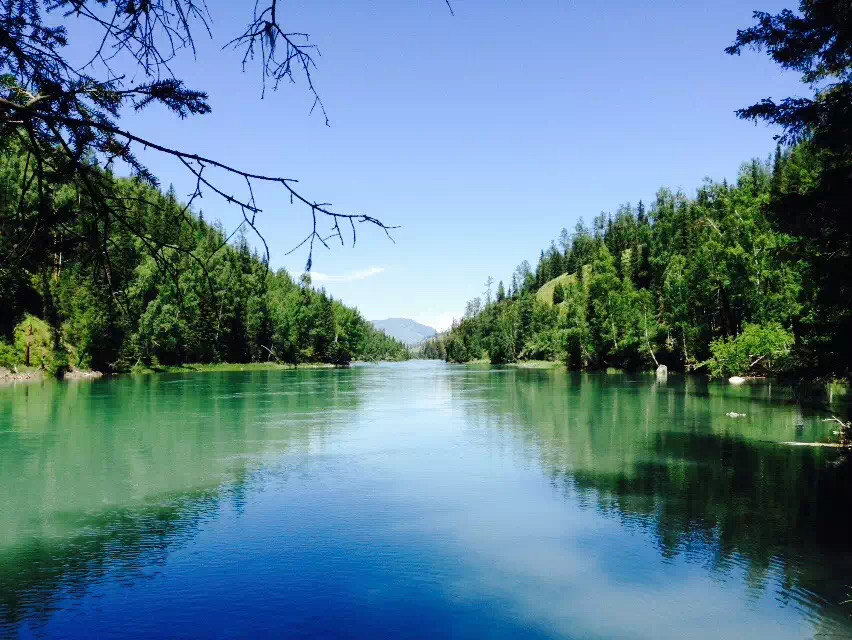 WeChat の写真_20210707160834jpg