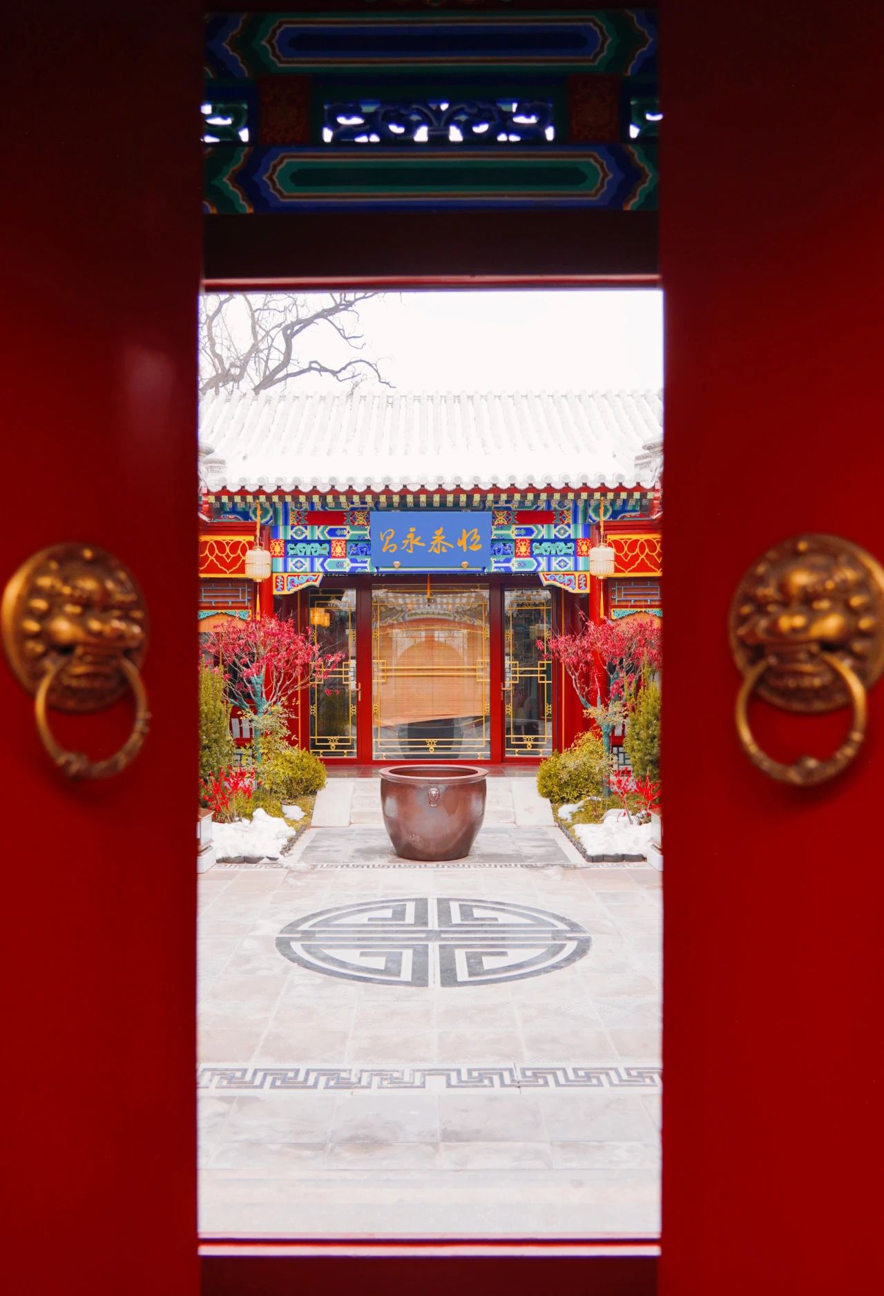 1704358445843595jpg c479afa78051974ae1be16e79589beb5jpg