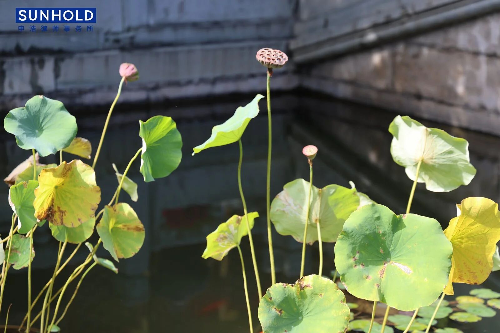 1759989304337332jpg c2ebcbf1e3c16ef14363f18c1178b828jpg