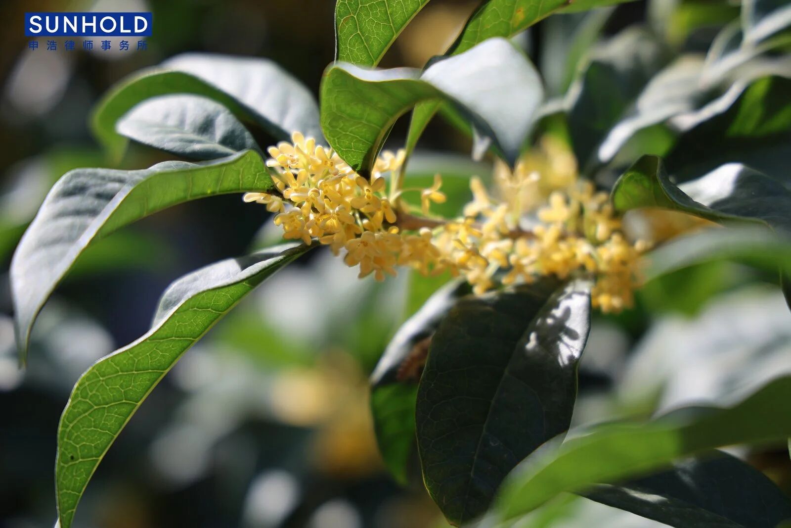 1759989318541602jpg c83a70d1a01f7a59c20f2582cd8187f4jpg