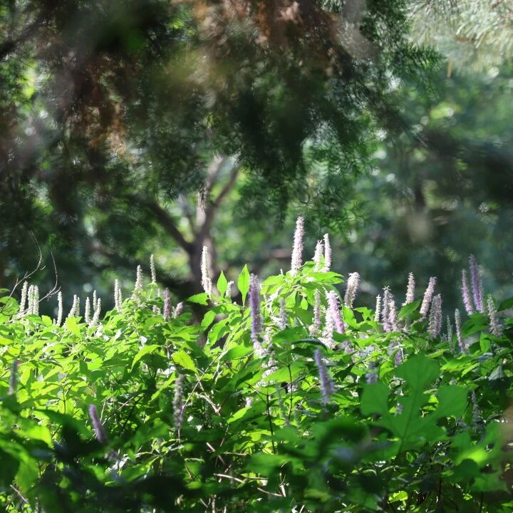 1759989364618924jpg f1e2e71826a381f9f593ef477545d265jpg