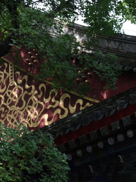 1759989380758462jpg 72beeb6f9e3eb9418639e9c85aad9a74jpg