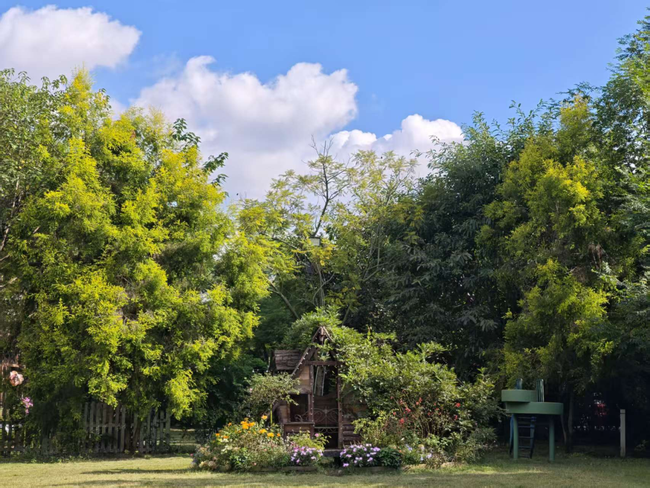 1761701734878631png 00303ec096df814eb09c8628bad6dea7png