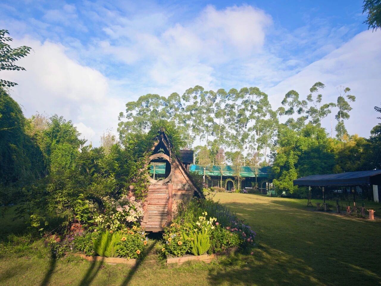 1761701777779493jpg 81790b786a1795456584326cc28305ddjpg