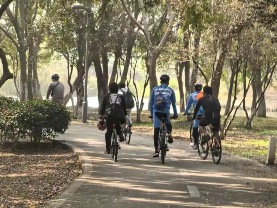 1762408301567738jpg db0baaf8bb1ba2e2600e14281b17f99bjpg