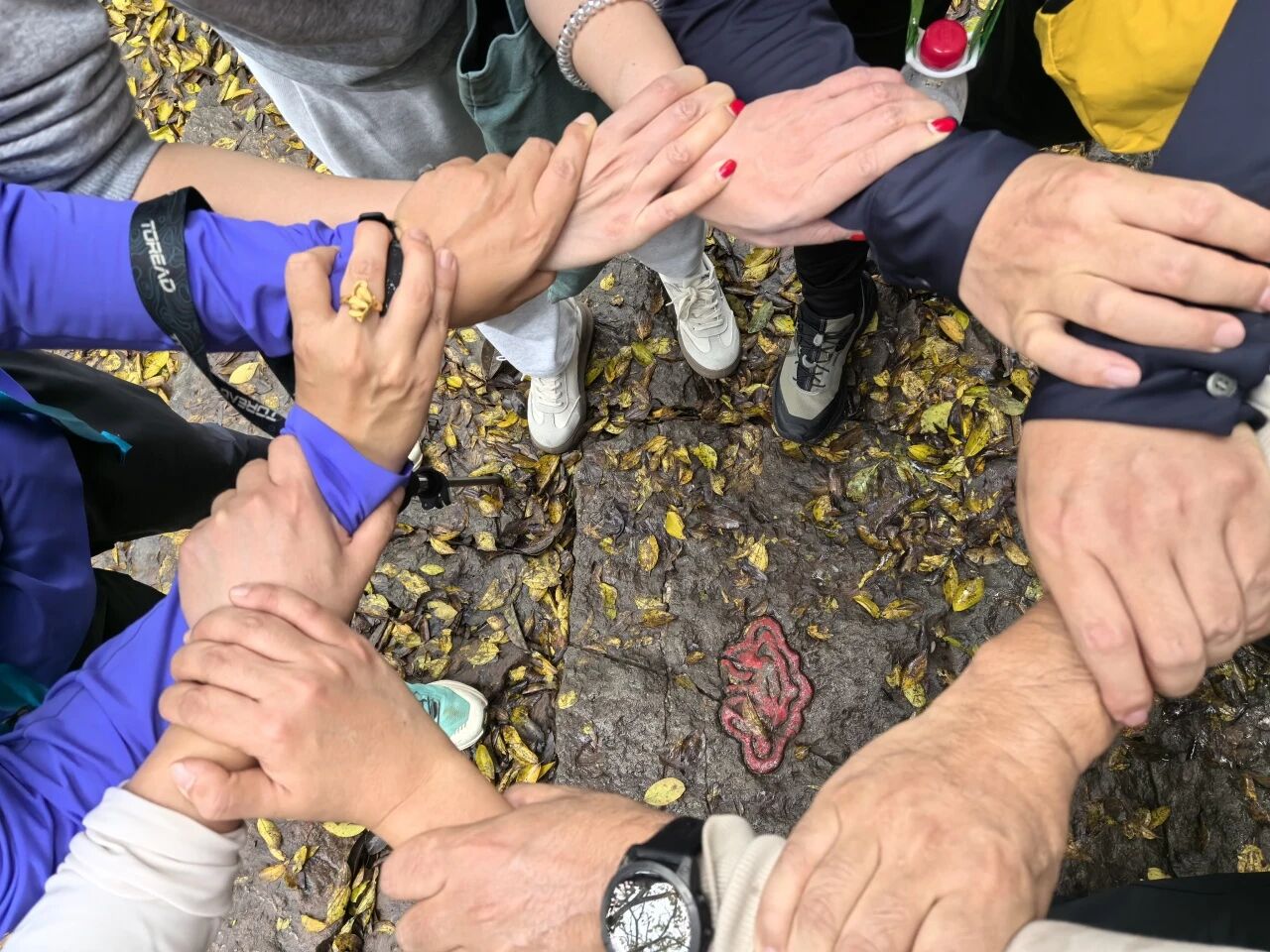 1763098905164653jpg 180925d14da26529461788fc3a89cd4fjpg