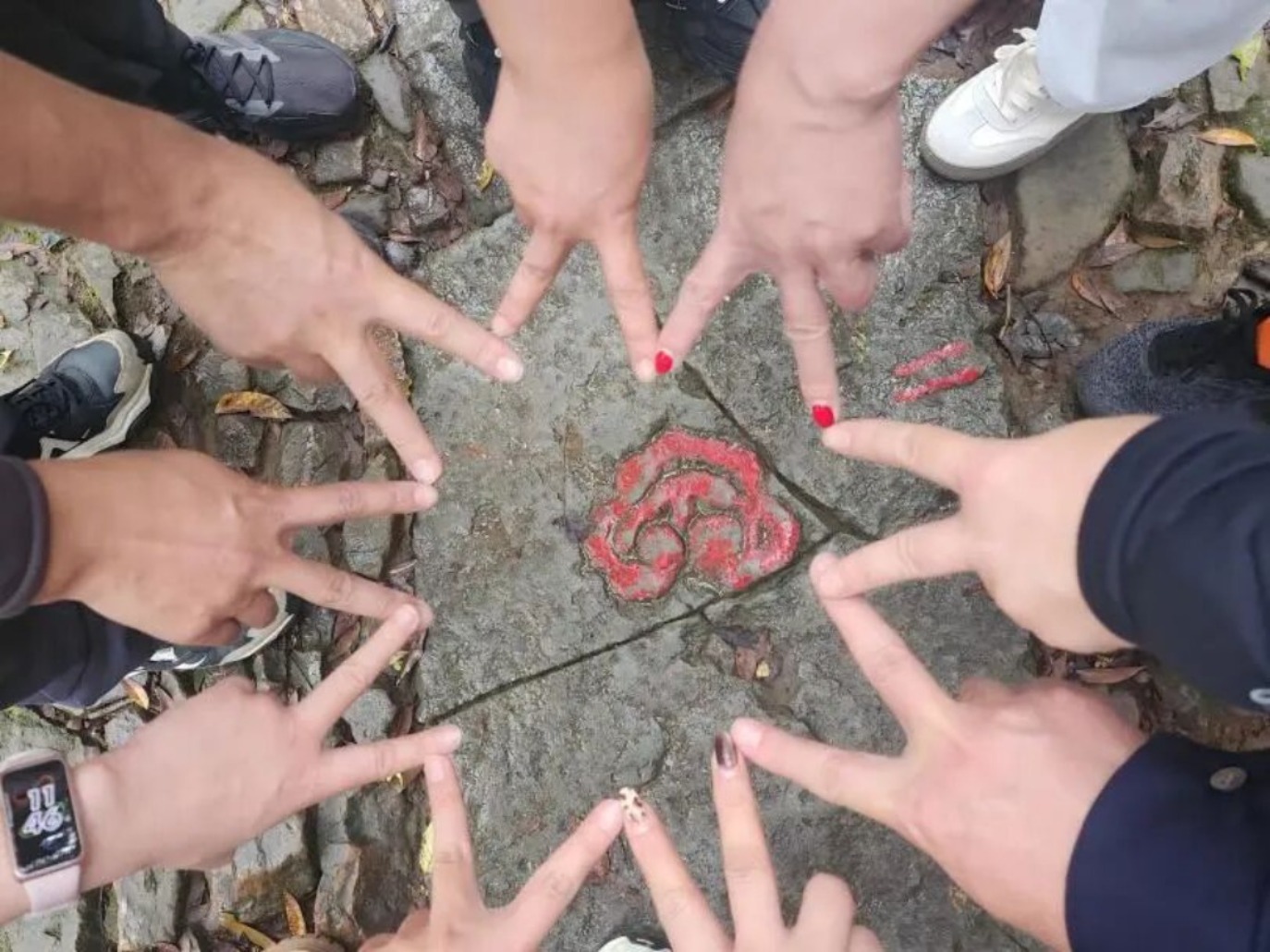 1763099232912334jpg IMG_202511141211_1374x1030jpg