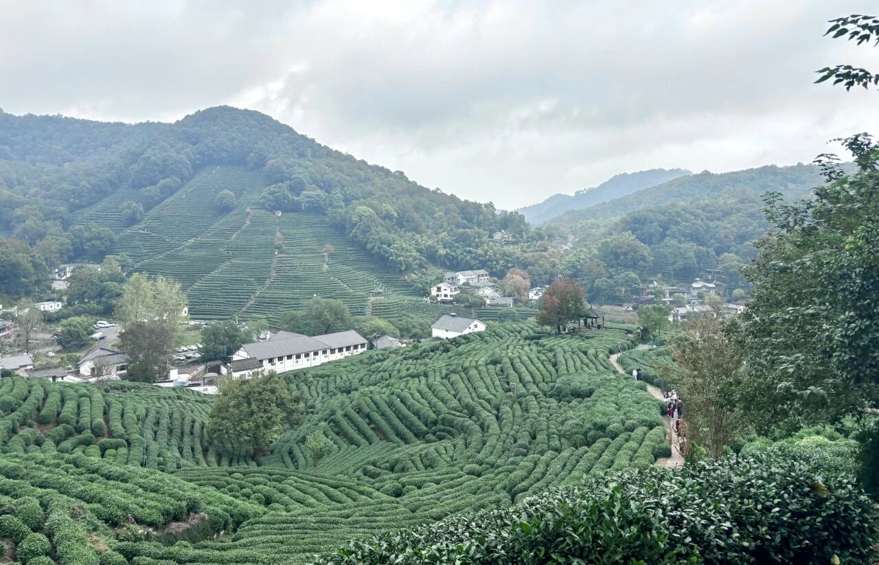 1763099268972106jpg bc39f72724da5e7039e01afe2fa10ce0jpg