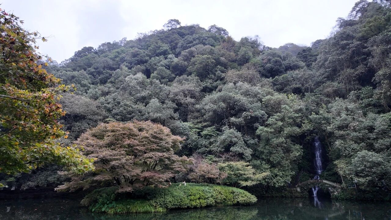 1763099582623196jpg b5e7c421e69bc3f928eb8042dfb95542jpg