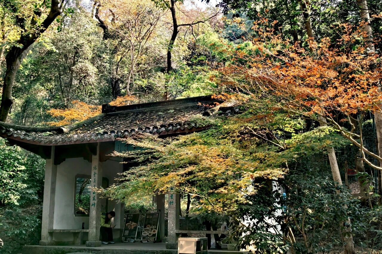 b18839ed601aadfc010bc4c590635029jpg