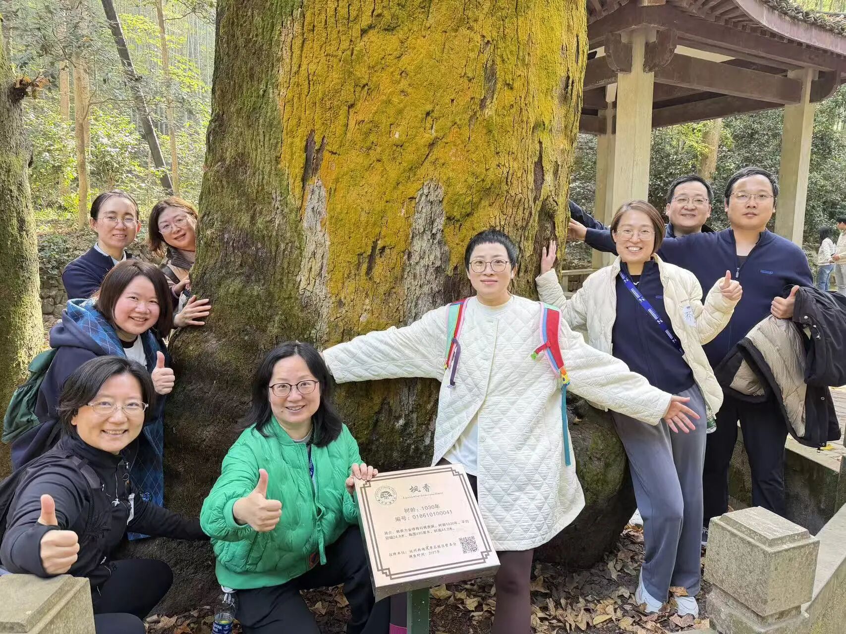 50ad25d0d37ea1b83229f3cc966fddcfjpg