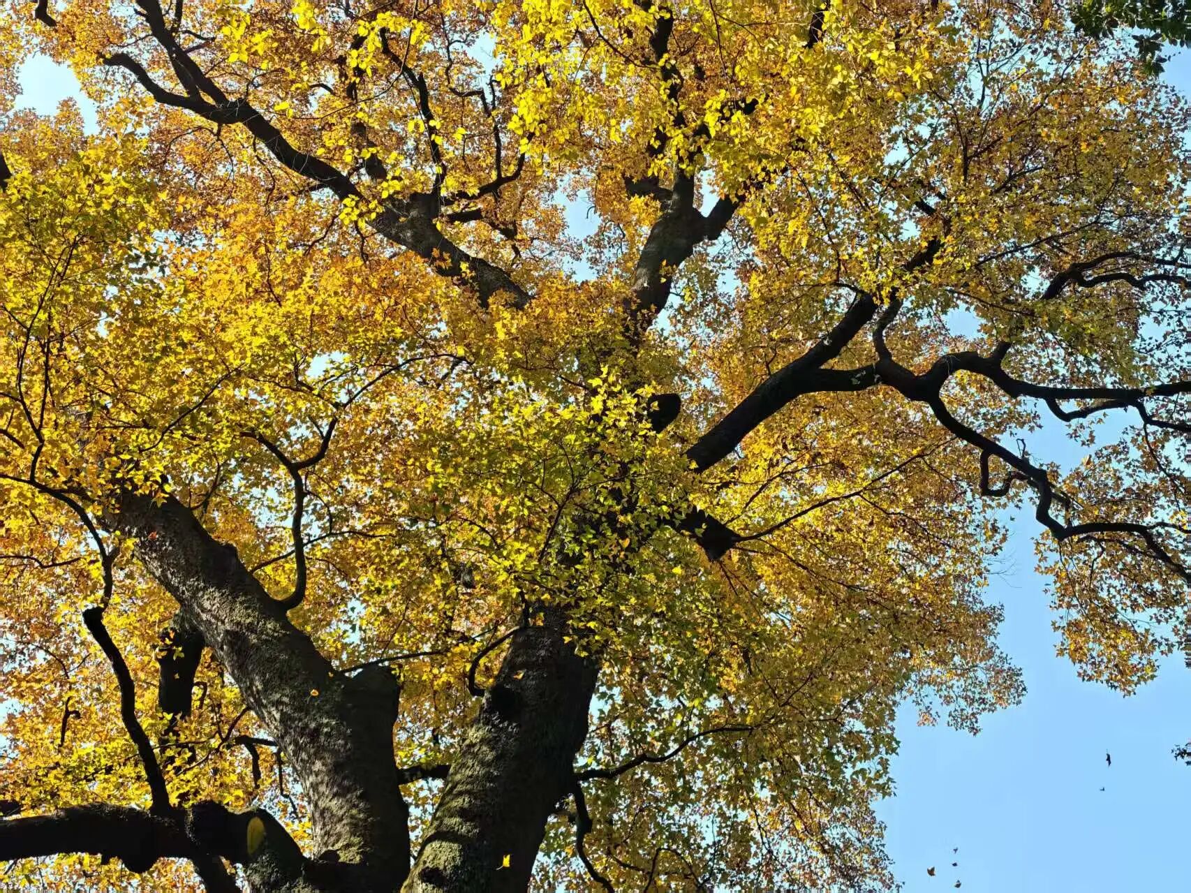 1824dc225adeed6ed7ecac620654890bjpg